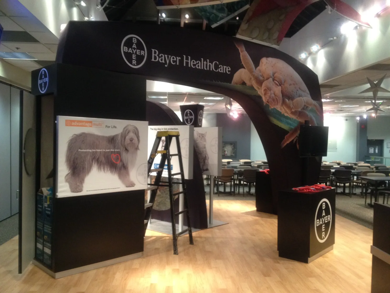 Bayer Healthcare